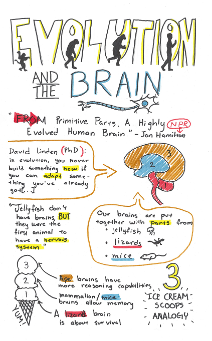 Sketch Your Neuroscience Notes