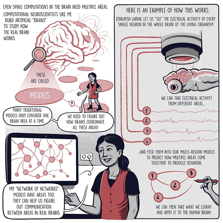 A comic explaining Rajan's computational neuroscience research